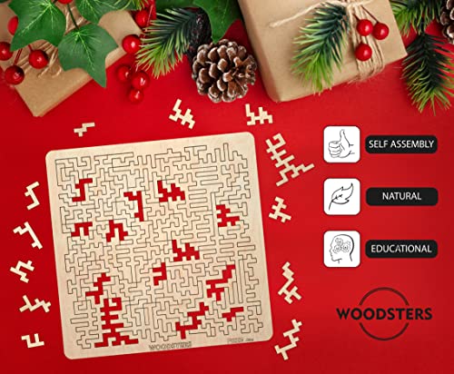 WOODSTERS Mind Bending Wooden Jigsaw Puzzle - Best Gift for Adults and Kids - Aztec Labyrinth - Expert Level Challenging Puzzle for Adults - 130 WOODSTERS