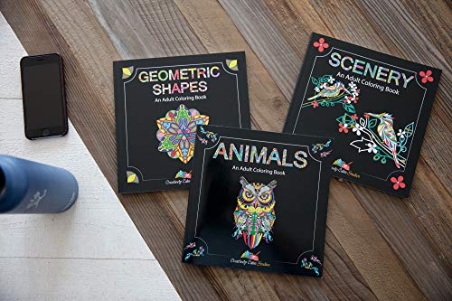 Adult Coloring Books Set - 3 for Grownups 120 Unique Animals, Scenery & Mandalas Designs. Adults Relaxation. Creatively Calm Studios