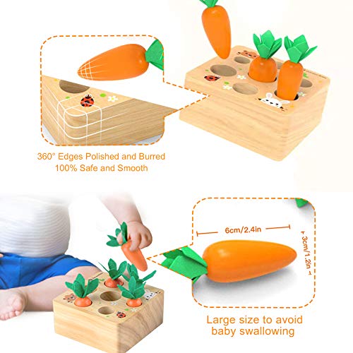 Ancaixin Montessori Toys for Babies 6-12 Months, Wooden Toys for 1 Year Old Boys and Girls, Educational Carrot Harvest Toy for Toddlers, Shape Ancaixin