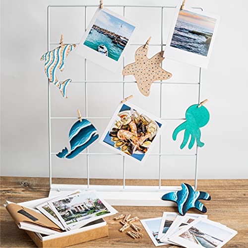 PLYDOLEX 24 Pieces Unfinished Wooden Cutouts Sea Animals Cutouts - 6 Shapes of Fish Cutouts: Wooden Stars, Dolphin Cutout, Octopus Cutout and Others Plydolex