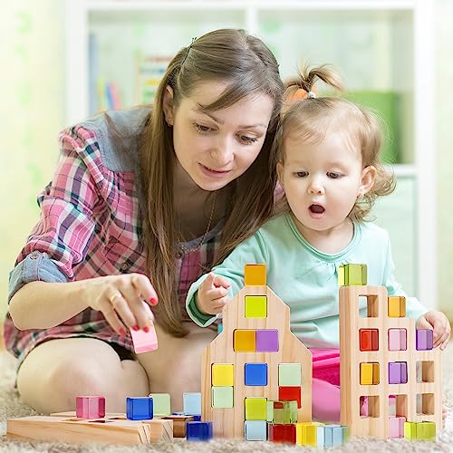 Woodtoe Wooden Building Blocks Set for Kids, 36 PCS Rainbow Acrylic Gem Cubes Blocks - 3 Wood House, Montessori Stacking Toy for Toddlers, Woodtoe