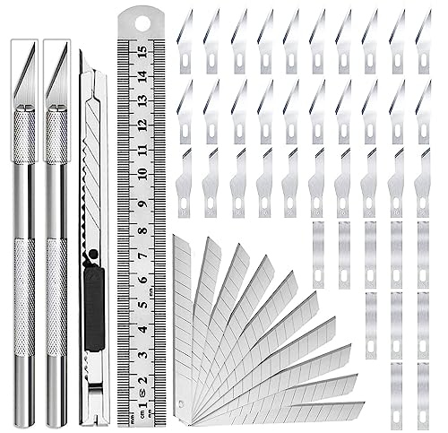 DIYSELF Craft Hobby Knife Exacto Knife Set, 2PCS Precision Knife and 40PCS  Exacto Blades for Art Crafts