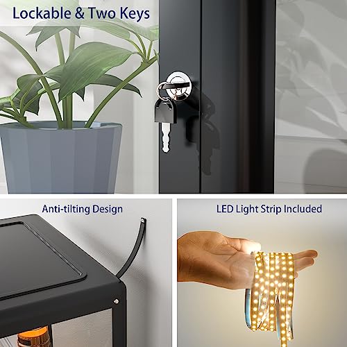 Ryoko Glass Display Cabinet with Adjustable 3-Shelf Shelves, Lock and Door, Dust-Proof, LED Light, Curio Cabinets Lego Display Case for Living Room Ryoko