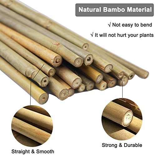 20 Pcs 18 Inch Natural Bamboo Plant Support Stakes for Indoor Plants, Bamboo Sticks Poles Garden Bamboo Stakes for Potted Plants, Tomato, Beans Yowlieu