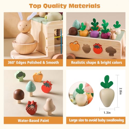 OESSUF Montessori Toys Toddlers Wooden Educational Toys for Baby Boys Girls, Shape Sorting & Matching Fine Motor Skills Toys, Birthday Gifts for Kids OESSUF