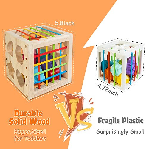 HELLOWOOD Montessori Toys for 1+ Year Old, Wooden Sorter Cube with 8pcs Rattling Shapes, Developmental Learning Toy Gifts for Baby Girls Boys 6-12-18 HELLOWOOD