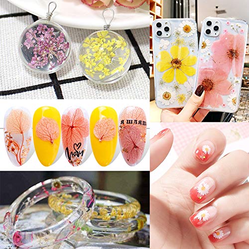 170Pcs+ Real Dried Pressed Flowers Leaves Petals for Crafts-Beautiful Pressed Flowers Daisies for Resin Jewellery, Pressed Flowers Nail Pendant Vignee