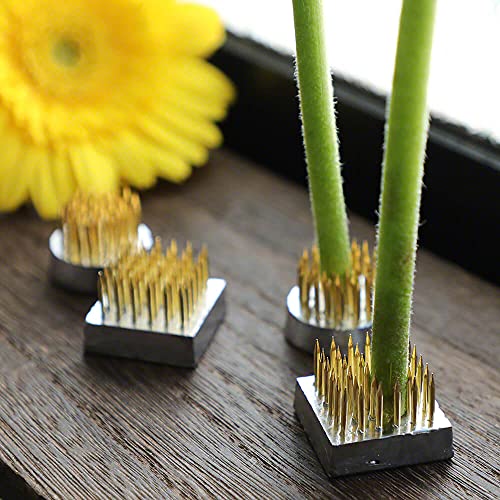 Wazakura 4PCS Mini Ikebana Kenzan Japanese Flower Holder, Made in Japan, Floral Arranging Pin Frog, Round Square - 1"(24mm) Brass Wazakura