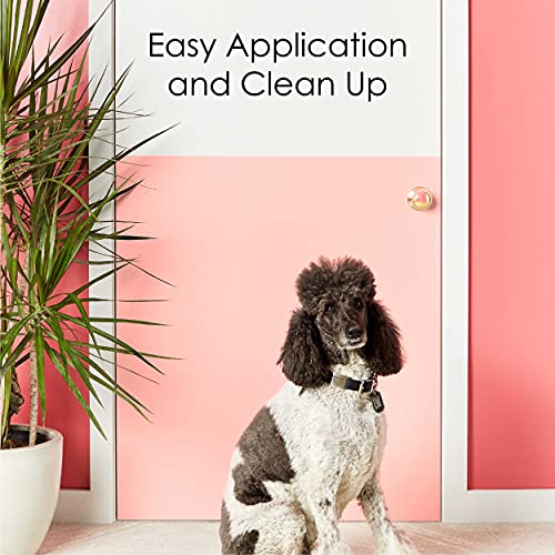 Krylon K05613007 COLORmaxx Acrylic Latex Brush On Paint for Indoor/Outdoor Use, ½ Pint, Satin Black Krylon