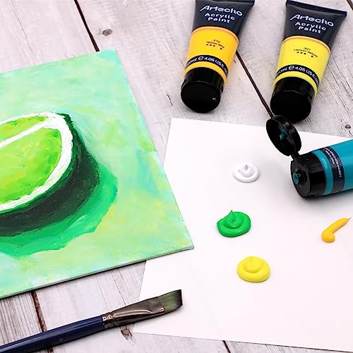 Artecho Professional Acrylic Paint Set, 20 Primary Colors (120ml / 4.05oz) Tubes, Art Craft Paints for Canvas, Rock, Stone, Wood, Fabric, Art Artecho