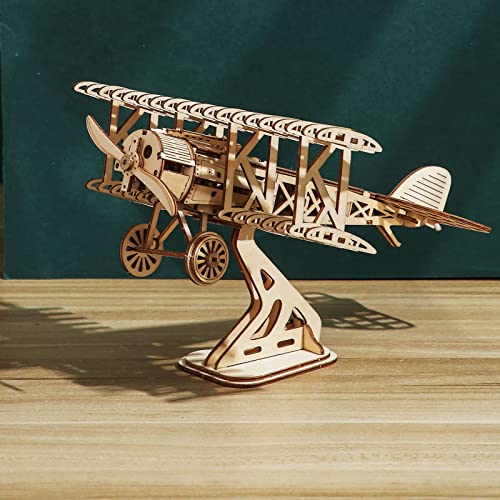 3D Wooden DIY Ferris Wheel Puzzle Kit - Perfect Educational Gift for All Ages ROEOLNIL