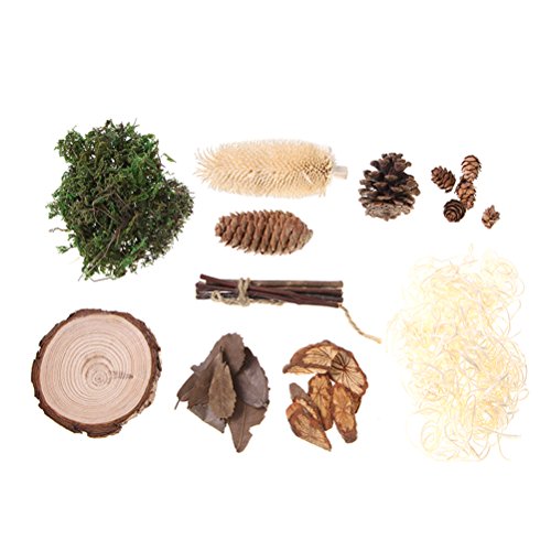 LUOEM Forest DIY Craft Ornaments for Photography Background Wood Branches Photo Props LUOEM