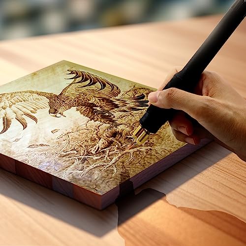 WANDART Professional Wood Burning Kit with One Pyrography Pen Single Wood Burner with 20 Wood Burning Tips with Case and 5PCS Stencils WANDART
