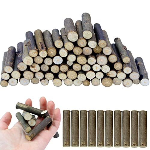 FSWCCK 100 PCS Craft Sticks, 2 Inch Natural Birch Twigs Sticks, Mini Wood Log for DIY Crafts, Farmhouse Centerpiece Decor and Rustic Home Decor FSWCCK