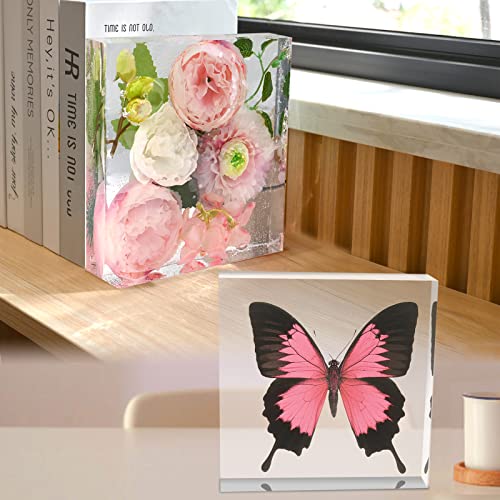 Square Silicone Molds for Resin, Large Resin Molds, Deep Resin Molds for Flowers Preservation, Epoxy Molds for Resin Casting DIY Insect Specimens Actvty