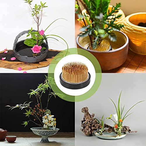 3PCS Flower Frog Holder/Round Flower Fixed Tools with Brass Needle,3 Sizes Flower Arrangement Pin for Garden Home Decoration(0.9inch 1.34inch TonJin