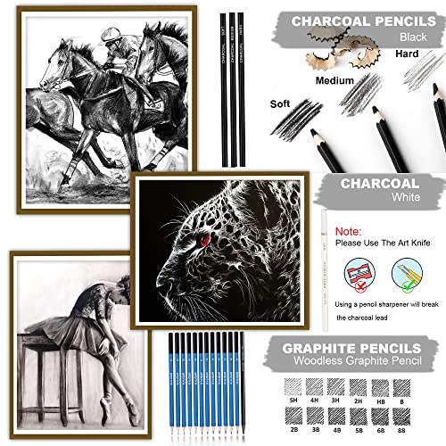 KALOUR 33 Pieces Pro Drawing Kit Sketching Pencils Set,Portable Zippered Travel Case-Charcoal Pencils, Sketch Pencils, Charcoal KALOUR