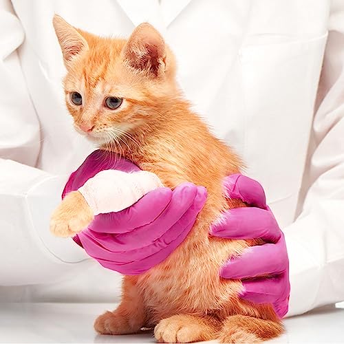 SwiftGrip Powder-Free Nitrile Gloves, Medium, 100ct Box - 3-mil, Disposable, Latex-Free, for Kitchen, Cleaning, Estheticians, Hair Stylist - SwiftGrip