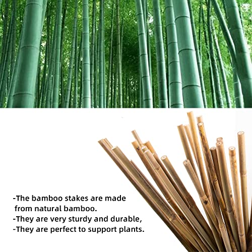 50Pcs Garden Stakes, 0.32”/16 Inch Bamboo Sticks,Natural Plant Stakes for Indoor and Outdoor Plants,Poles for Tomatoes, Beans, Potted Plants Anothera