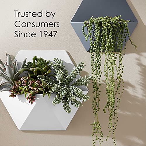 Krylon K05613007 COLORmaxx Acrylic Latex Brush On Paint for Indoor/Outdoor Use, ½ Pint, Satin Black Krylon