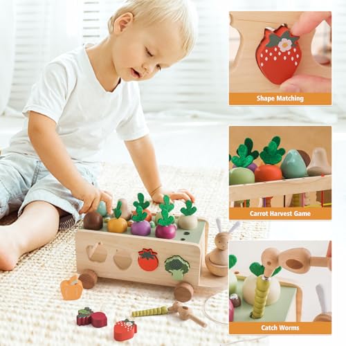OESSUF Montessori Toys Toddlers Wooden Educational Toys for Baby Boys Girls, Shape Sorting & Matching Fine Motor Skills Toys, Birthday Gifts for Kids OESSUF