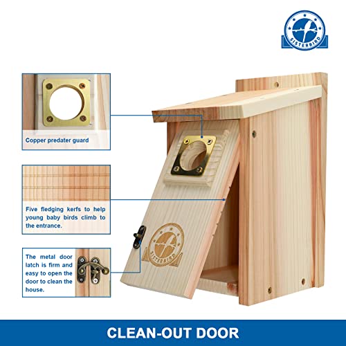 SISTERBIRD Bird Houses for Outside Clearance with Copper Guard, Cedar Bird House Outdoor, Bluebird Finch Swallow Wren Chickadee SISTERBIRD