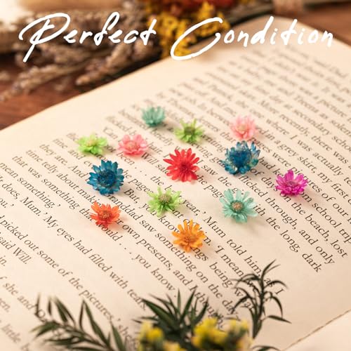 1700 PCS Bulk Tiny Dried Flowers for Resin - Small Dried Flowers for Crafts, Natural Real Mini Dried Pressed Flowers for Jewelry Earrings Epoxy LGFMGWH