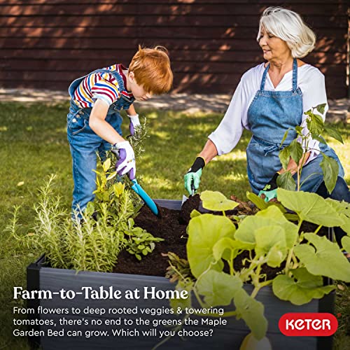 Keter 48" X 48" inches Wood Look Raised Garden Bed, Durable Outdoor Planter for Vegetables, Flowers, Herbs, and Succulents, Grey Keter