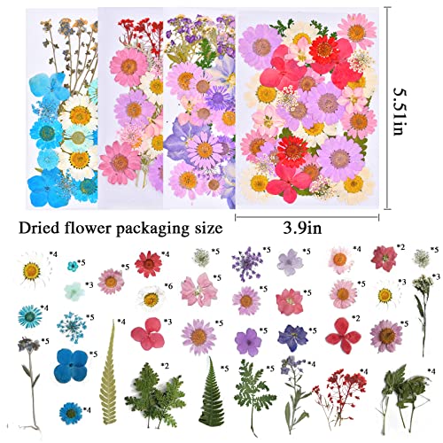160pcs Dried Pressed Flowers for Resin, Real Pressed Flowers Dry Leaves Bulk Natural Herbs Kit for Scrapbooking DIY Art Crafts, Epoxy Resin Jewelry, MUCBAFLY