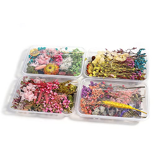AGCFABS 1 Box Random Real Dried Flower Resin Mold Fillings UV Expoxy Flower for Epoxy Resin Molds Jewelry Making Craft DIY Accessories (Random) AGCFABS