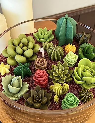 Mafuke 9 Pack Succulent Silicone Mold,Flower Resin Mold,Silicone Candle Molds.3D Cacti Candle Mold Silicone for Scented Candles Soaps Making, Wax, Navani