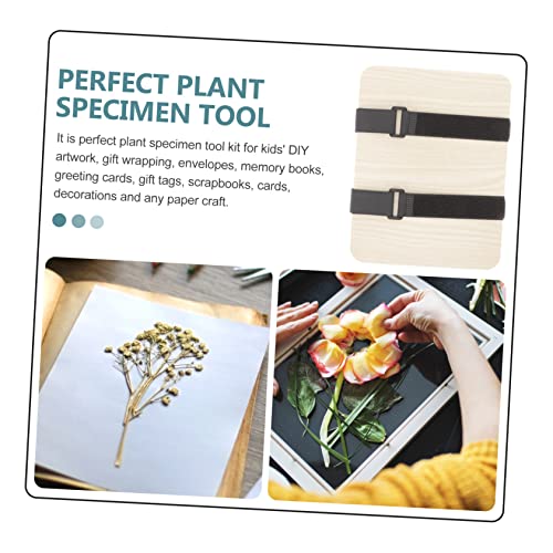 FAVOMOTO 1 Set Wooden Art Kit Flower and Leaf Press Kit Flower Press Book Wooden Flower Press Leaf and Flower Press Plants Press Pressed Flower FAVOMOTO