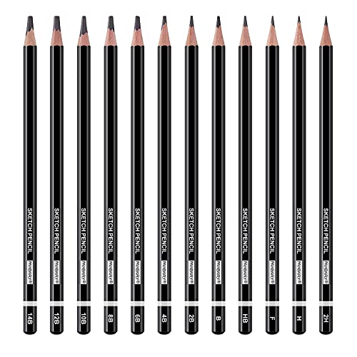 PANDAFLY Professional Drawing Sketching Pencil Set - 12 Pieces Graphite Pencils(14B - 2H), Ideal for Drawing Art, Sketching, Shading, Artist Pencils PANDAFLY