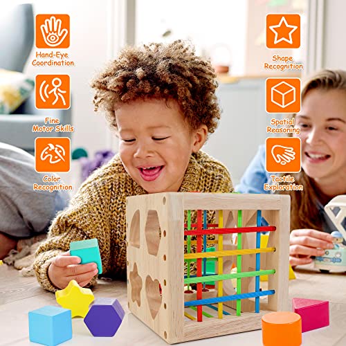 HELLOWOOD Montessori Toys for 1+ Year Old, Wooden Sorter Cube with 8pcs Rattling Shapes, Developmental Learning Toy Gifts for Baby Girls Boys 6-12-18 HELLOWOOD