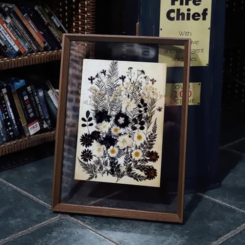 12 Types 48PCS Real Dried Pressed Flowers for Resin, Leaf Plant Herbarium for Jewelry Making Craft (Black and White) AHTONG