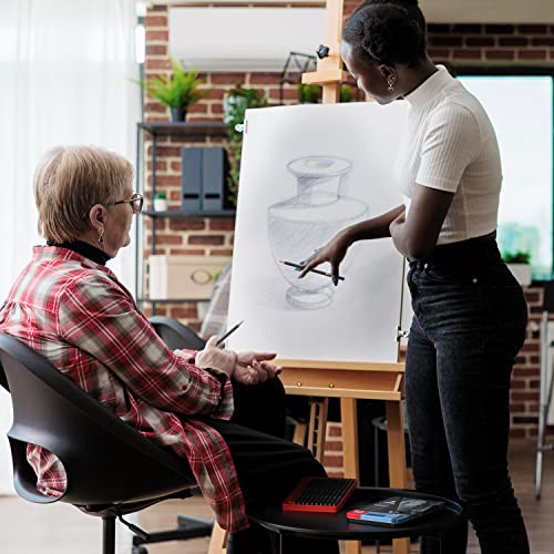 ARTEZA Professional Drawing Sketch Pencils Set of 12, Medium (6B - 4H), Art Supplies for Drawing Art, Sketching, Shading, Artist Pencils for ARTEZA