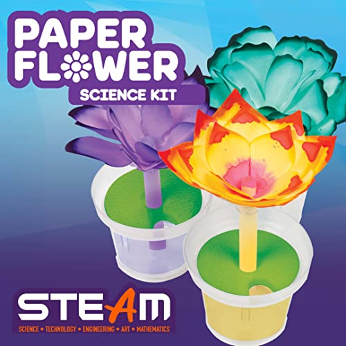 Crayola Paper Flower Science Kit, Color Changing Flowers, Gift for Kids Ages 7, 8, 9, 10 Crayola