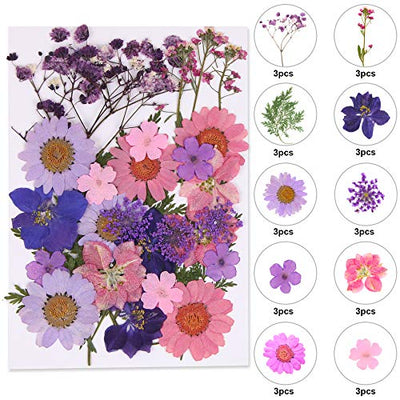 Dried Flowers for Resin Natural Dried Pressed Flowers for DIY Jewelry Molds, Art Crafts Scrapbooking, Candle, Soap Making, Nails Décor