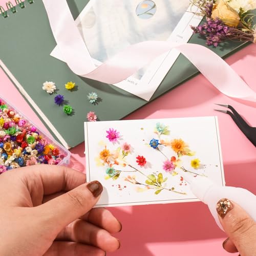 600 PCS Dried Flowers for Resin Crafts, Small Dried Flowers for Nails, Real Natural Tiny Dried Pressed Flowers for Jewelry Earrings Epoxy Molds, LGFMGWH