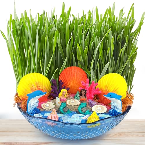 BLOONSY Mermaid Fairy Garden Kit for Kids | Light Up Mermaid Terrarium Kit | Mermaid Gifts Toys for Girls | Science STEM Arts and Crafts Activities BLOONSY
