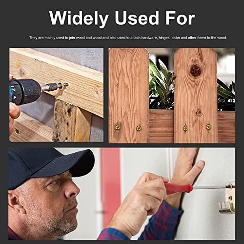 Small Screw, BLUELEC Antique Style AntiOxidative Finish Wood Screws for Fastening Plank, Plastic Materials or Resin Plywood, 45° Flat Head, Phillips BLUELEC