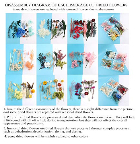 4 Packs Real Natural Dried Flowers for Making Mobile Phone Case Candle Handmade Crafts Epoxy Resin Pendant Necklace Jewelry DIY Accessories,Mixed QUALLON