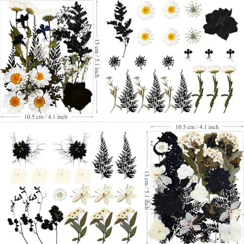 MIKIYA 84Pcs Black Dried Pressed Flowers for Resin Molds, Bulk Real Natural Dry Floral for DIY Art Crafts, Epoxy Jewelry, Candle, Soap Making, Nails MIKIYA