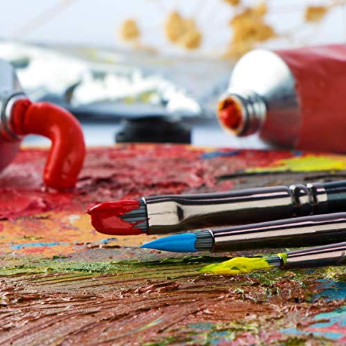 Transon Artist Paint Brush Set of 12 for Watercolor Acrylic Gouache Oil and Tempera Painting TRANSON