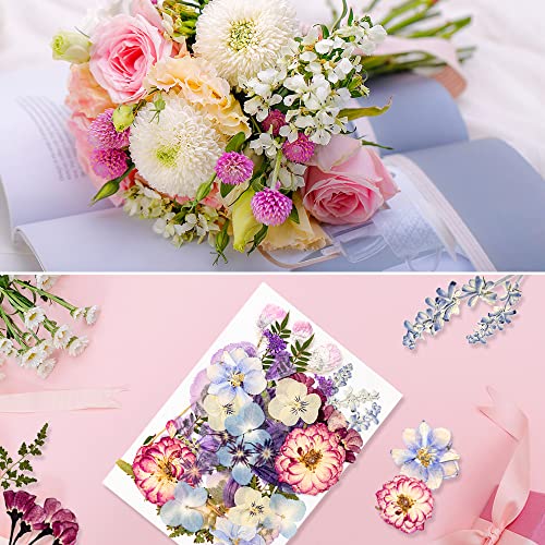 Blaflo 35+pcs Purple Flowers for Resin Model, Real Pressed Flowers Dry Leaves Bulk Natural Herbs Kit for Scrapbooking DIY Art Crafts, Epoxy Jewelry, Blaflo