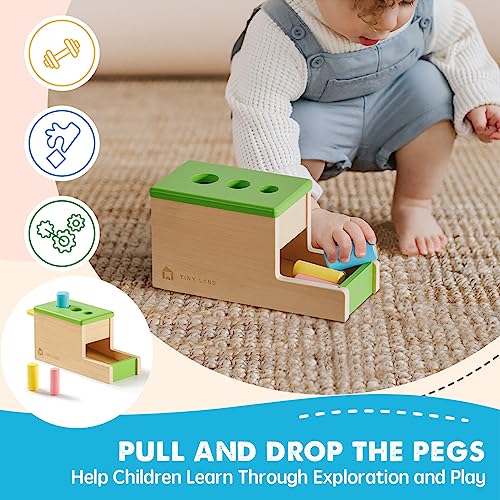 Tiny Land Montessori Toy Set for Babies 10-12 Months - 5-in-1 Wooden Learning Toys with Peg Drop Box, Rocking Stacker, Egg Cup, Canister Set, and Tiny Land