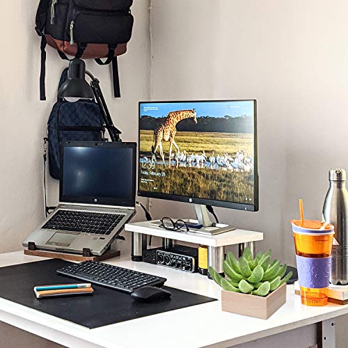 Rustic Wooden Box Small Wooden Box,4 Pieces Small Wood Square Storage Organizer Container Craft Box Small Wooden Box for Collectibles Home Venue Coobbar