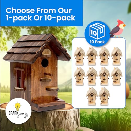 SparkJump Premium Wooden Bird House Kit | Build it Yourself Birdhouse | Birdhouse Kits for Adults to Build | DIY Bird House Kit and Woodworking Adult SparkJump