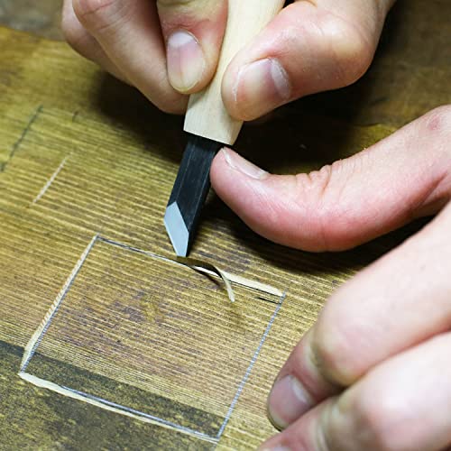 KAKURI Japanese Wood Carving Knife Set (5 Pcs) Made in Japan, Professional Wood Carving Tools for Linoleum Carving, Linocut, Printmaking, AOGAMI Blue KAKURI