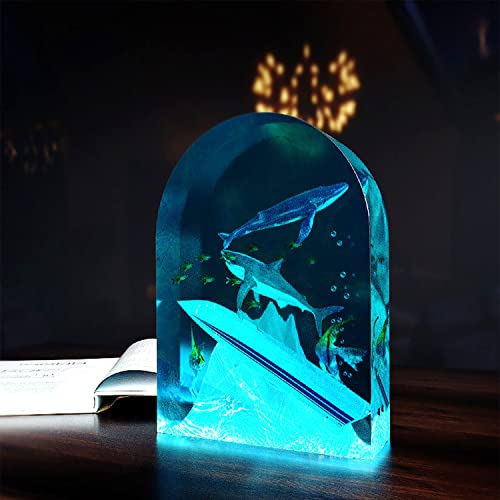 Large Silicone Molds for Resin, Large Resin Molds, Arched Shapes Silicone Molds for Resin Casting for Flowers Preservation, Books Desktop Organizer, OMDBAGD